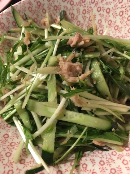 みょうが大好きです！！シャキシャキの野菜とツナ美味しいですね。たくさん野菜食べられますー。