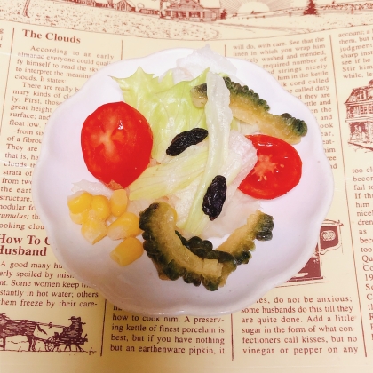 ゴーヤ入り野菜サラダ♡甘いレーズンも