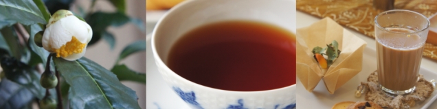紅茶専門店・銀の芽　Eri Shimada