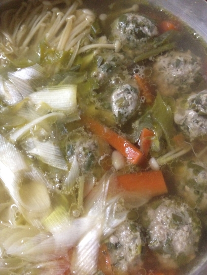 あまりものの野菜とあまりものの餃子のタネでおいしいスープができて、うれしいです～
ごちそうさまでした～♪