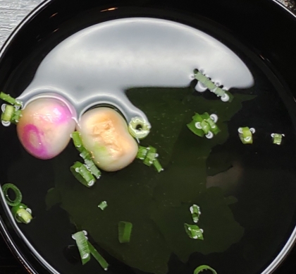 ˚✧₊お麩とわかめのお味噌汁⁺˳✧༚