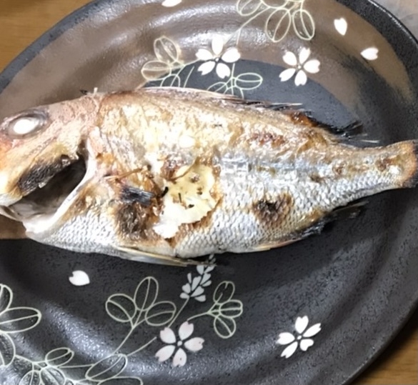 レンコダイの塩麹焼き！