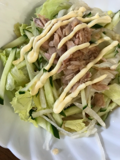 ツナと野菜のサラダうどん