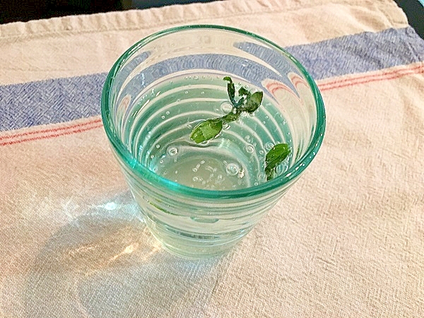 レモンバジル炭酸水