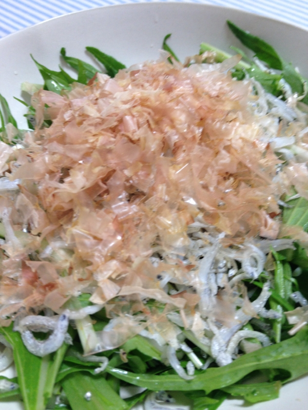 水菜しらすサラダ レシピ 作り方 By くまやこ 楽天レシピ 水菜しらすサラダ レシピ 作り方 By くまやこ 楽天レシピ