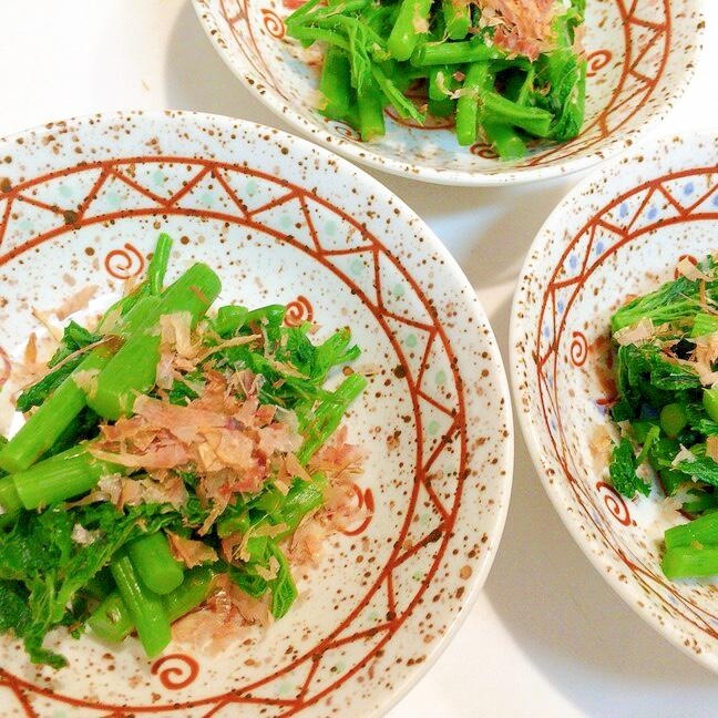 絶品山菜 アイコ ミヤマイラクサ のおひたし レシピ 作り方 By アボカドプリン 楽天レシピ 絶品山菜 アイコ ミヤマイラクサ のおひたし レシピ 作り方 By アボカドプリン 楽天レシピ