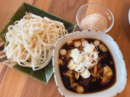 なすごま　つけ汁うどん