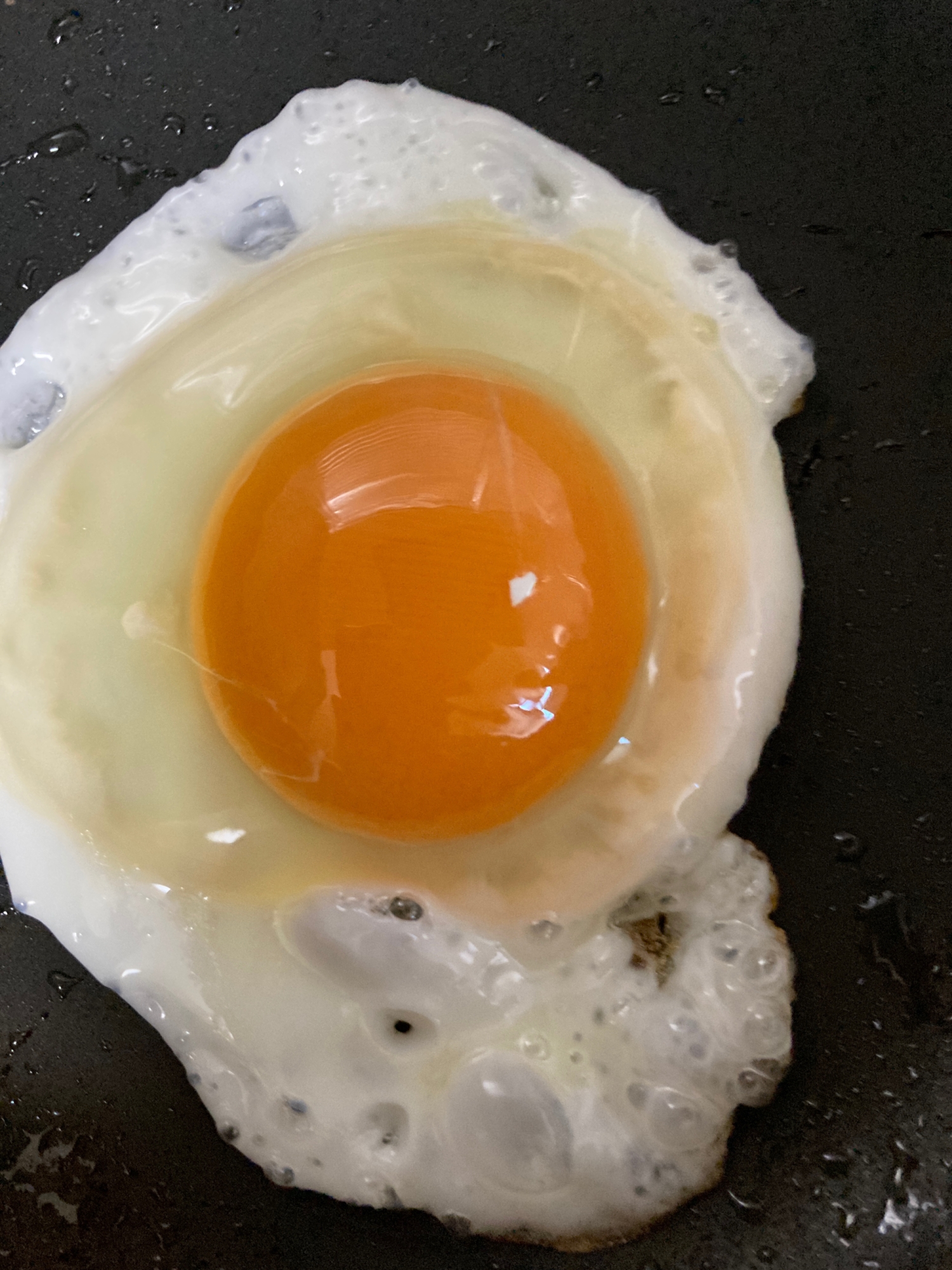 黄身がプリプリ半熟卵