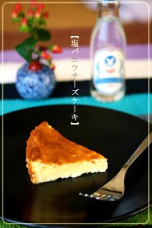 【塩バニラチーズケーキ】～塩フェチ好み～
