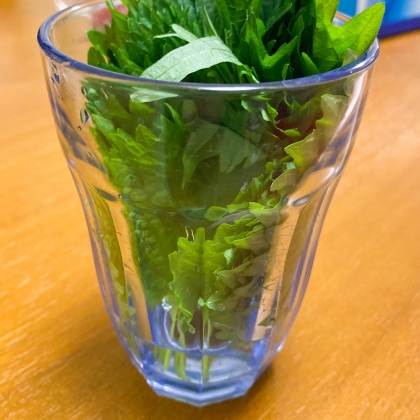 フレッシュな大葉を長持ちさせる保存方法 レシピ 作り方 By はなまる子 楽天レシピ フレッシュな大葉を長持ちさせる保存方法 レシピ 作り方 By はなまる子 楽天レシピ