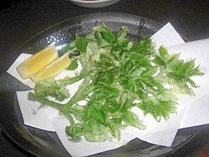 うどの葉の天ぷら レシピ 作り方 By Chaachan6066 楽天レシピ