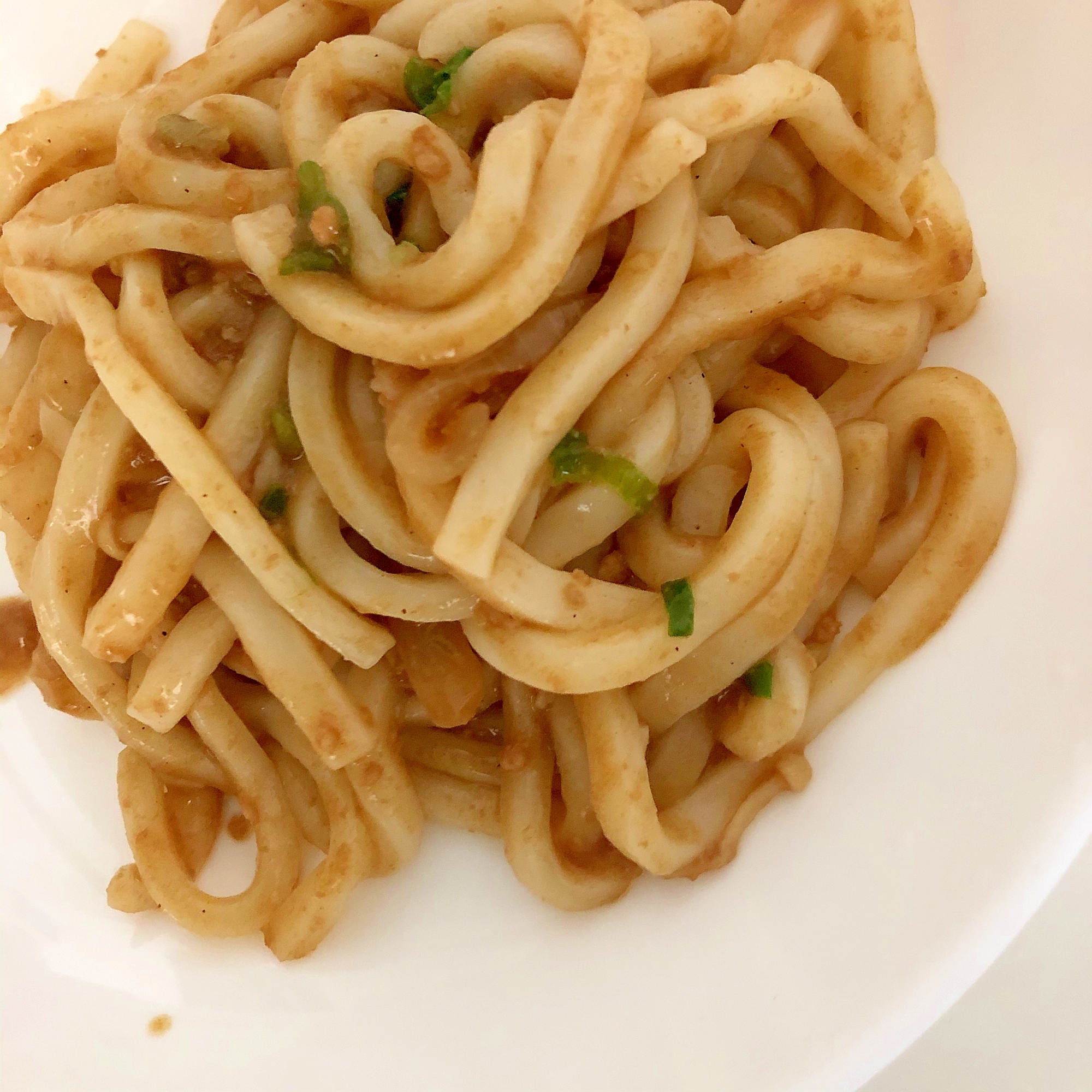 青ネギ入りのカレーうどん