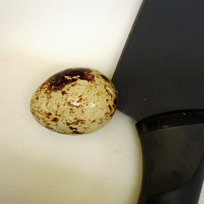 意外とコツがあるんです♫ うずら卵の割り方