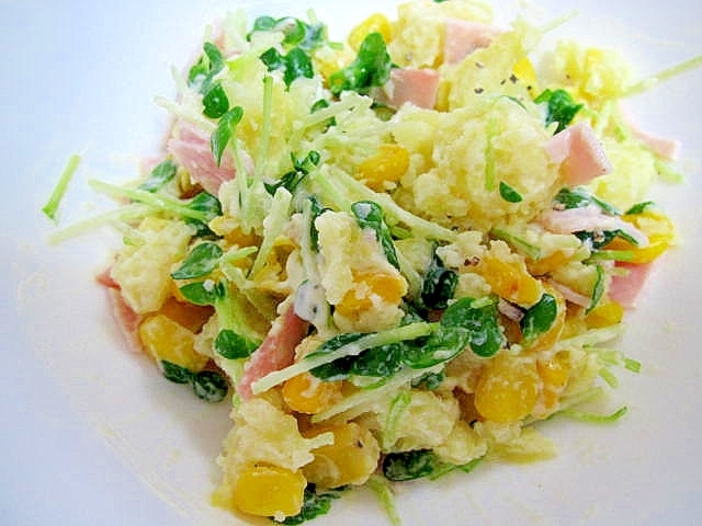 カイワレのポテトサラダ レシピ・作り方 by haruru88 - 楽天レシピ