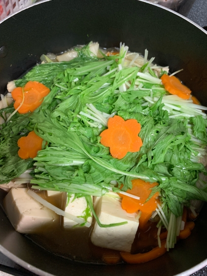 水菜で簡単季節を選ばない安上がり鍋