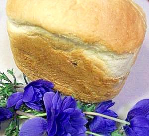GOPANがなくても HB♪ごはんde食パン**