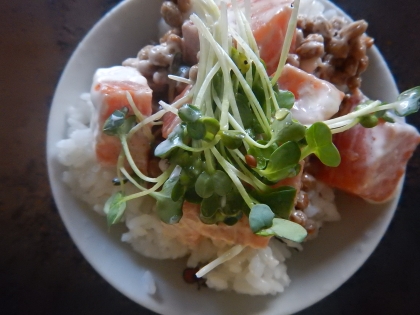 赤身がトロ味に♪　「まぐろマヨ納豆丼」