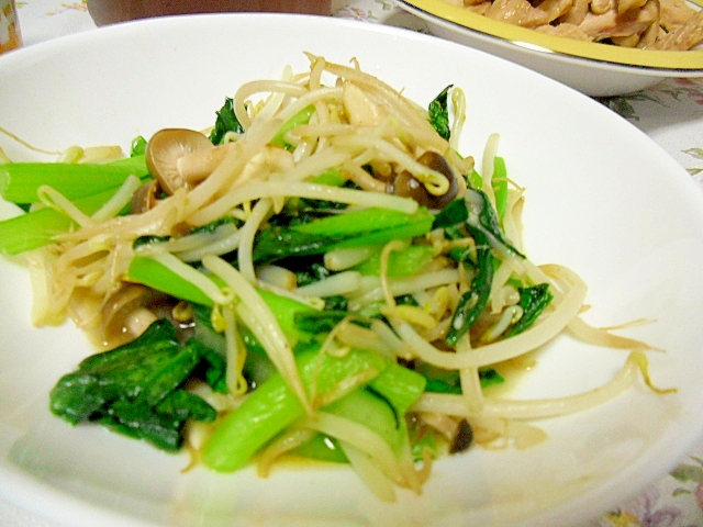 もやしと小松菜のオイスターソース炒め レシピ 作り方 By ミスチバス 楽天レシピ