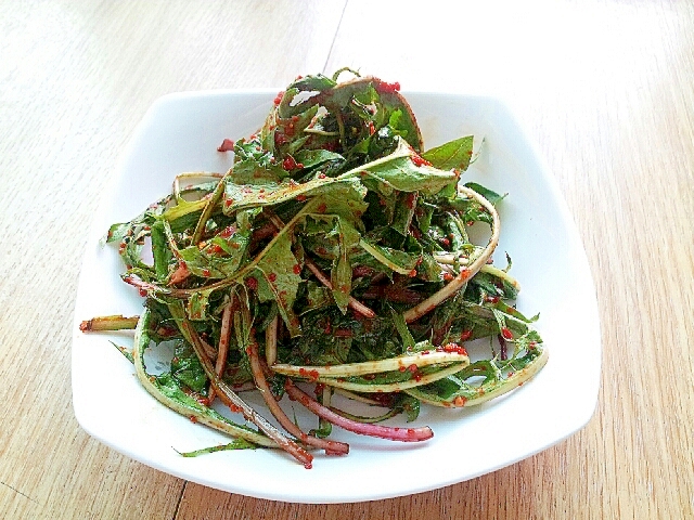 タンポポの葉レシピ 作り方の人気順 簡単料理の楽天レシピ タンポポの葉レシピ 作り方の人気順 簡単料理の楽天レシピ