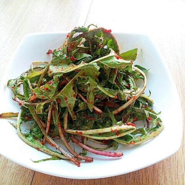 タンポポの葉で コッチョリ レシピ 作り方 By Daecheon 楽天レシピ タンポポの葉で コッチョリ レシピ 作り方 By Daecheon 楽天レシピ