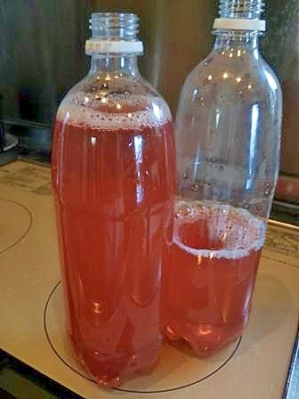 青紫蘇で ほんのりピンク色 紫蘇ジュース