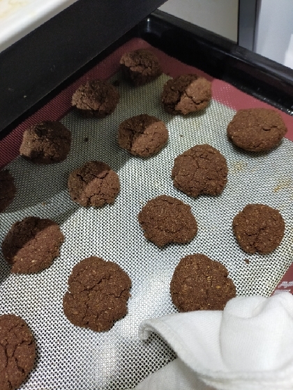 小麦粉不使用♪おからココアクッキー