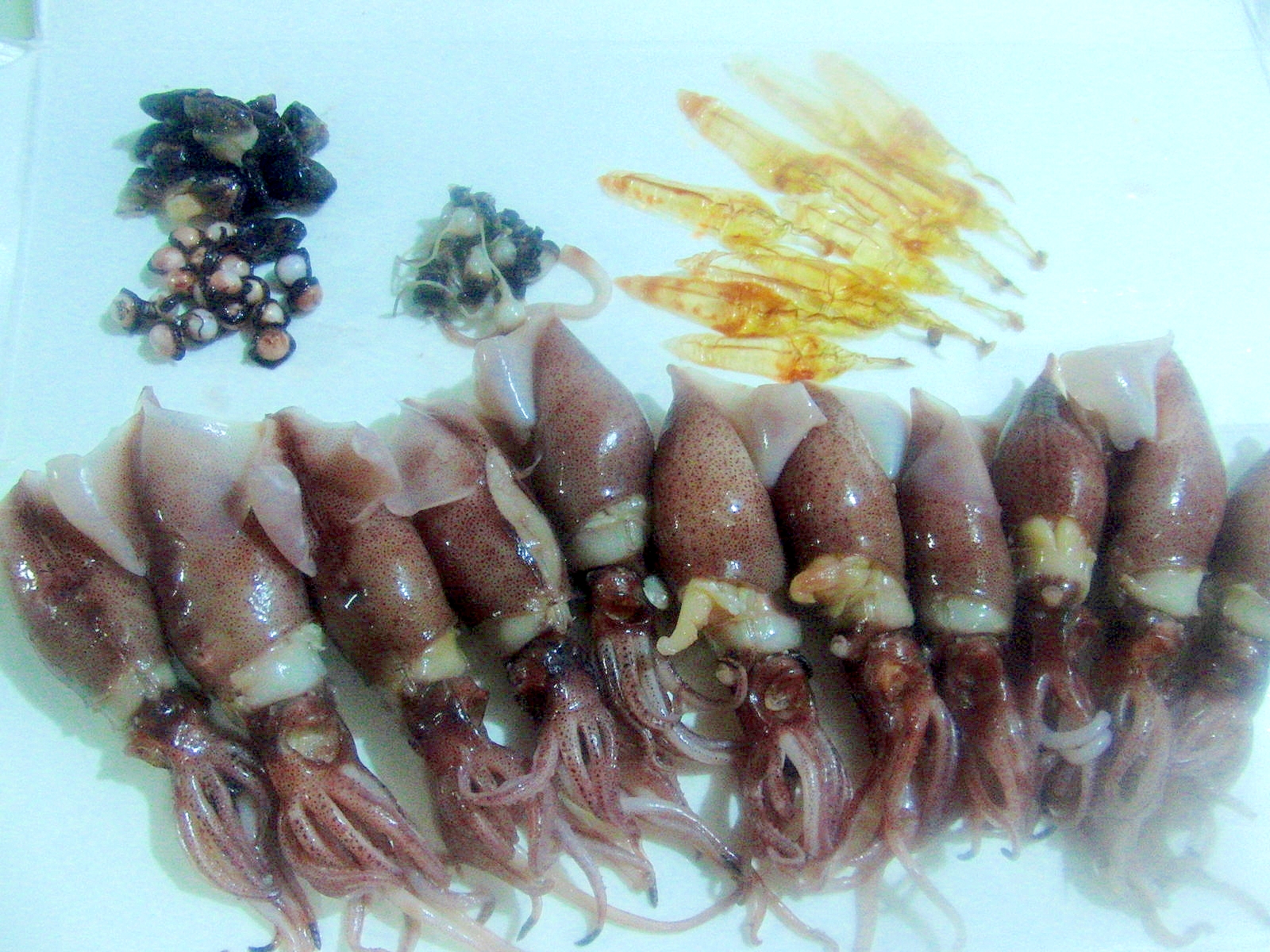 ホタルイカの下処理 レシピ 作り方 By あとぶー 楽天レシピ ホタルイカの下処理 レシピ 作り方 By あとぶー 楽天レシピ