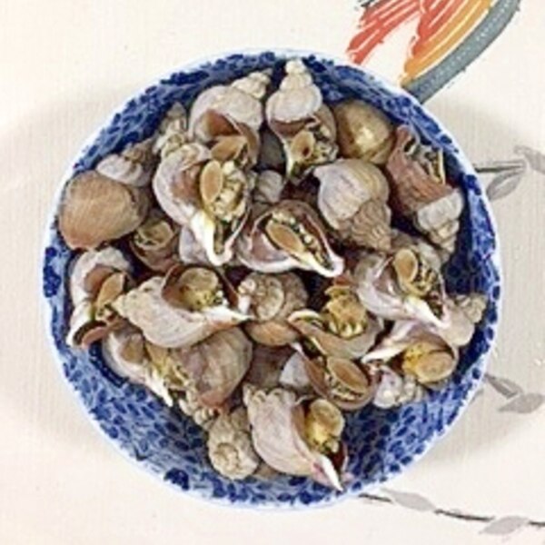 磯つぶを煮て レシピ 作り方 By 2727椿 楽天レシピ 磯つぶを煮て レシピ 作り方 By 2727椿 楽天レシピ