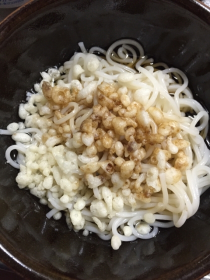 冷やしたぬきそうめん