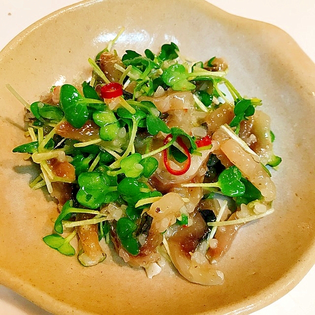 ひと手間加えて ニシン切込とかいわれ大根のおつまみ レシピ 作り方 By だだちゃまめごはん 楽天レシピ ひと手間加えて ニシン切込とかいわれ大根のおつまみ レシピ 作り方 By だだちゃまめごはん 楽天レシピ