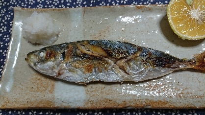 魚焼きグリルであじの塩焼き