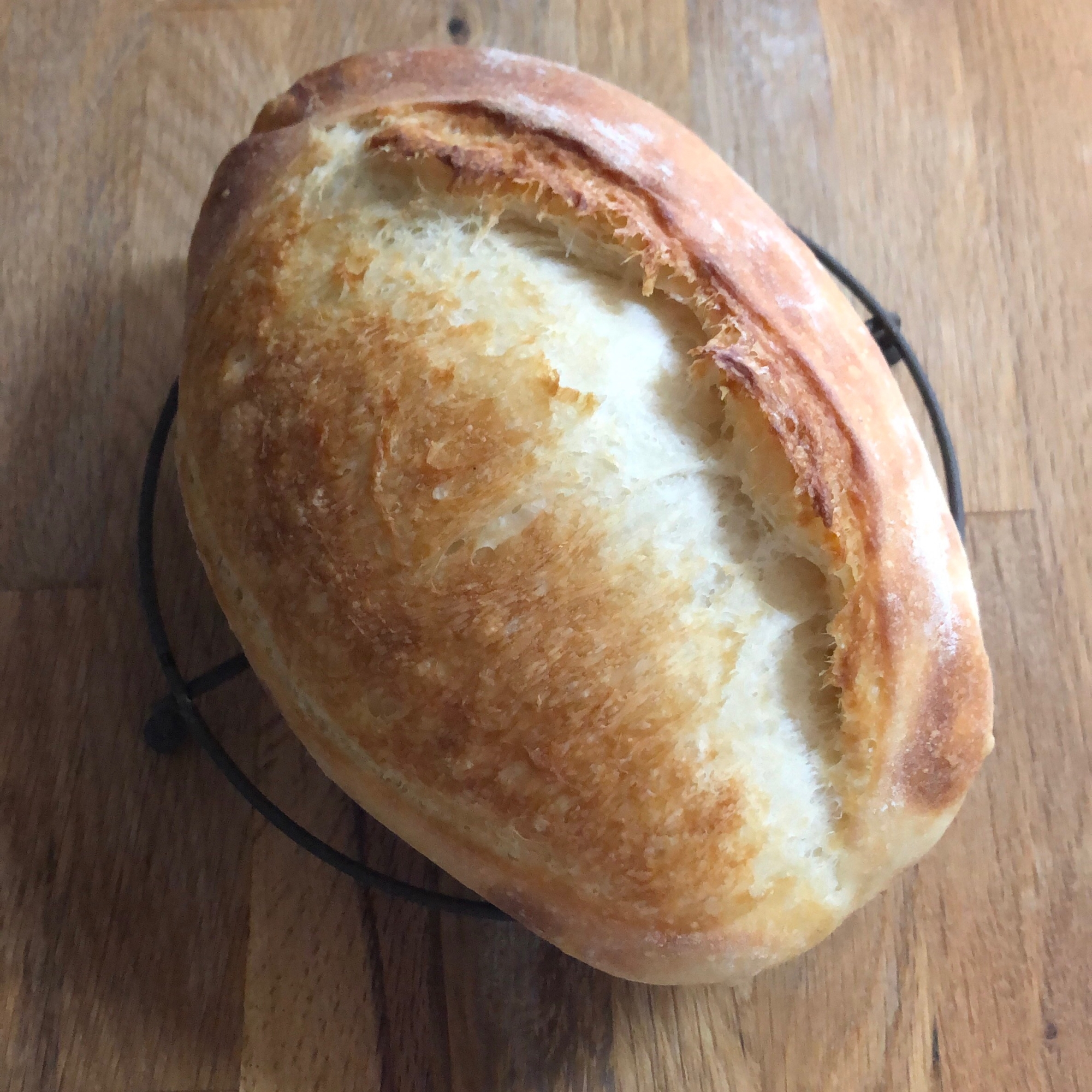 バターなし!簡単クッペ風 シンプルパン