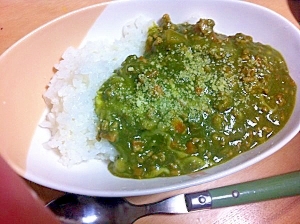 栄養満点！ほうれん草のグリーンカレー