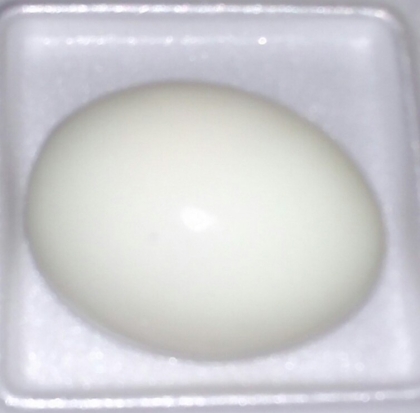 上手く出来ました！