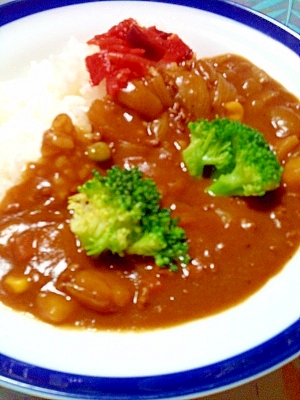 ミンチ肉で野菜カレー