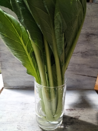 小松菜の茎の筋っぽい食感をやわらかくする方法