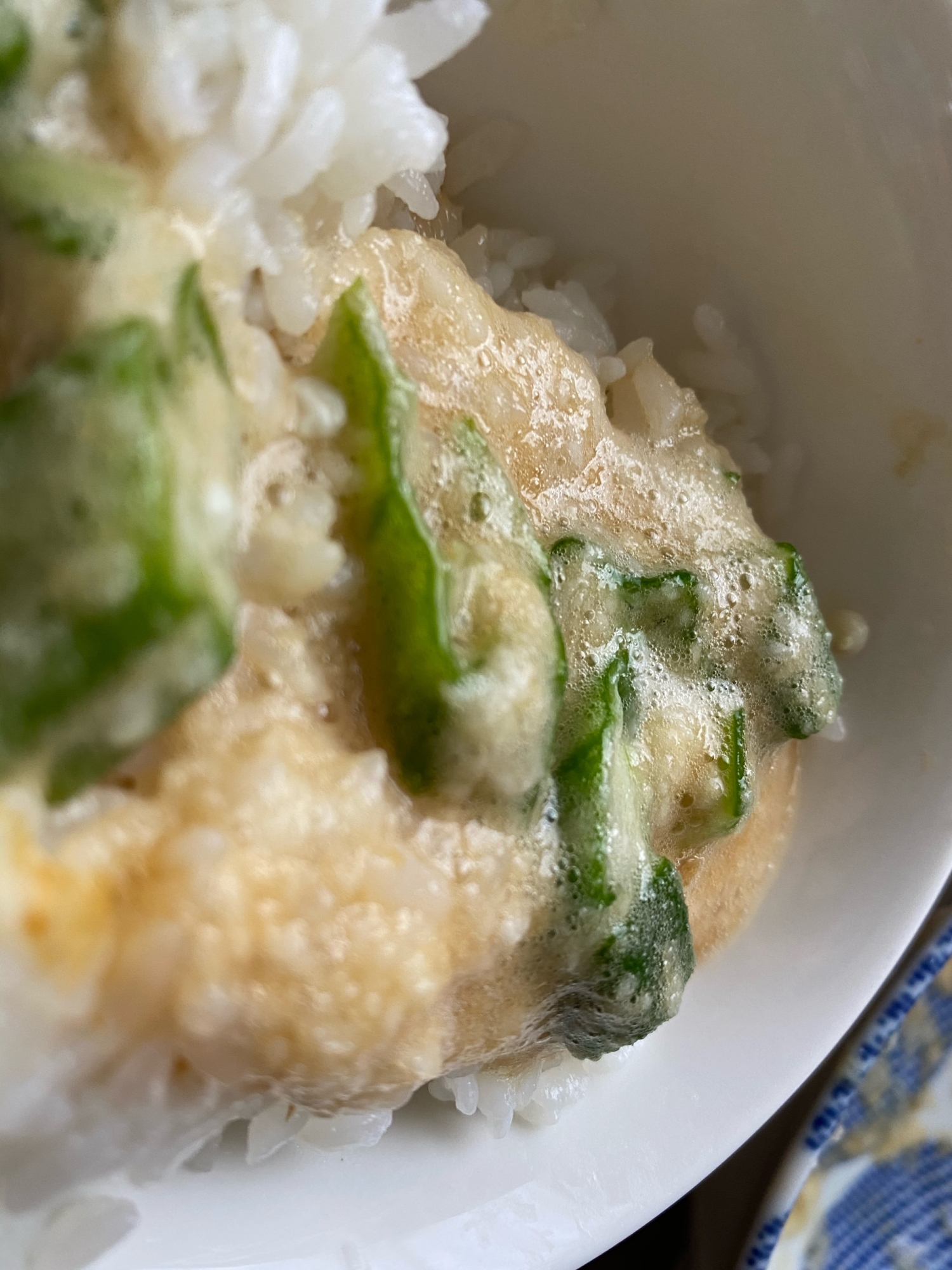 ネバトロご飯