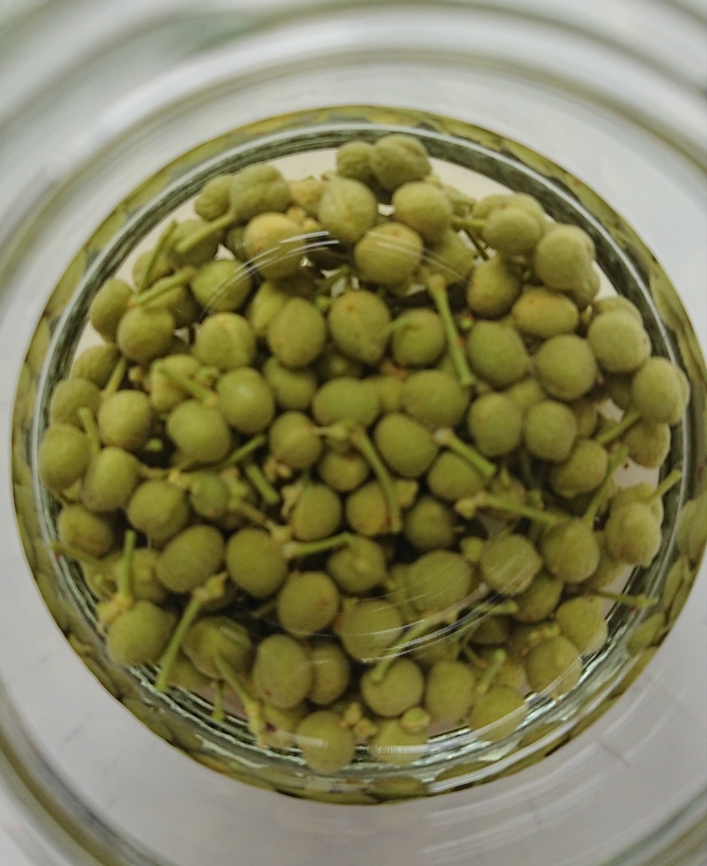 今が旬 山椒の実の酢漬け レシピ 作り方 By ぷらな 楽天レシピ 今が旬 山椒の実の酢漬け レシピ 作り方 By ぷらな 楽天レシピ