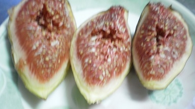 晴天なら干しイチジク