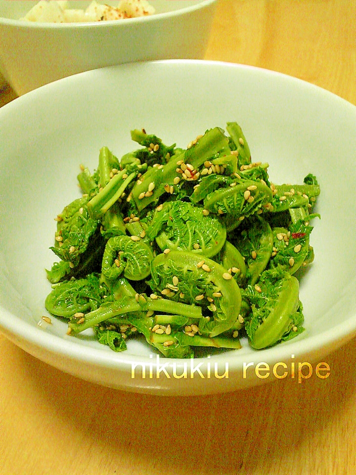簡単おいしい！こごみのナムル