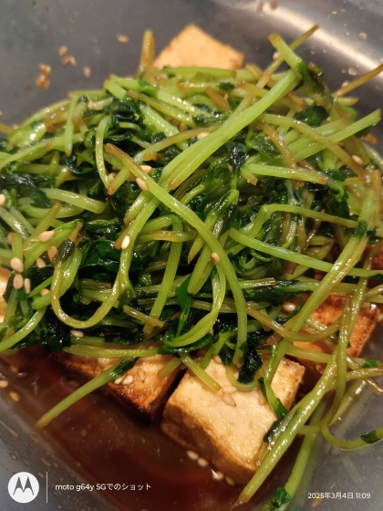 給料日前のお助けレシピ！厚揚げと豆苗の醤油の実炒め