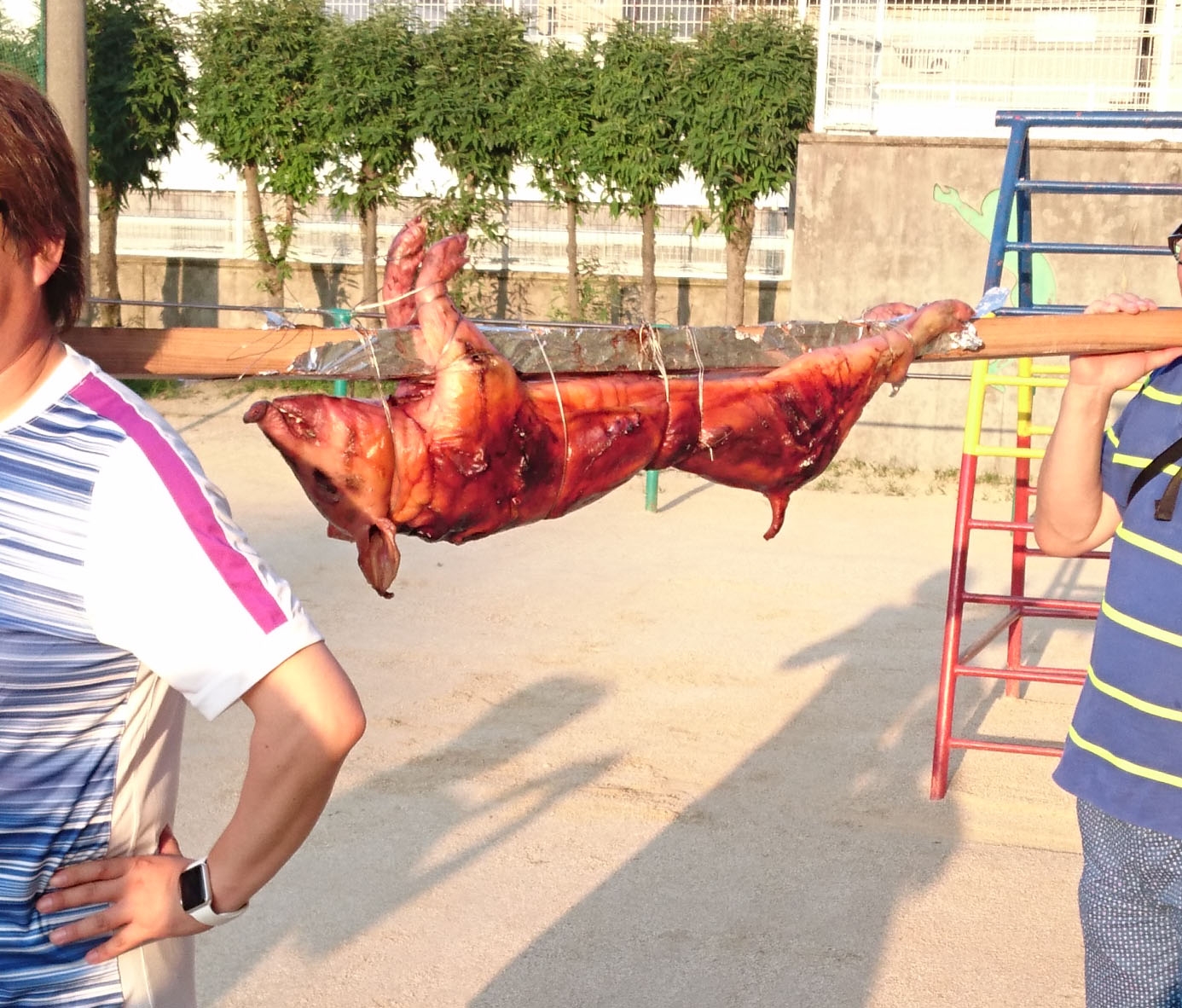 豚の丸焼き 17 19 程度 50人前 9時間 レシピ 作り方 By 少し痩せました 楽天レシピ 豚の丸焼き 17 19 程度 50人前 9時間 レシピ 作り方 By 少し痩せました 楽天レシピ