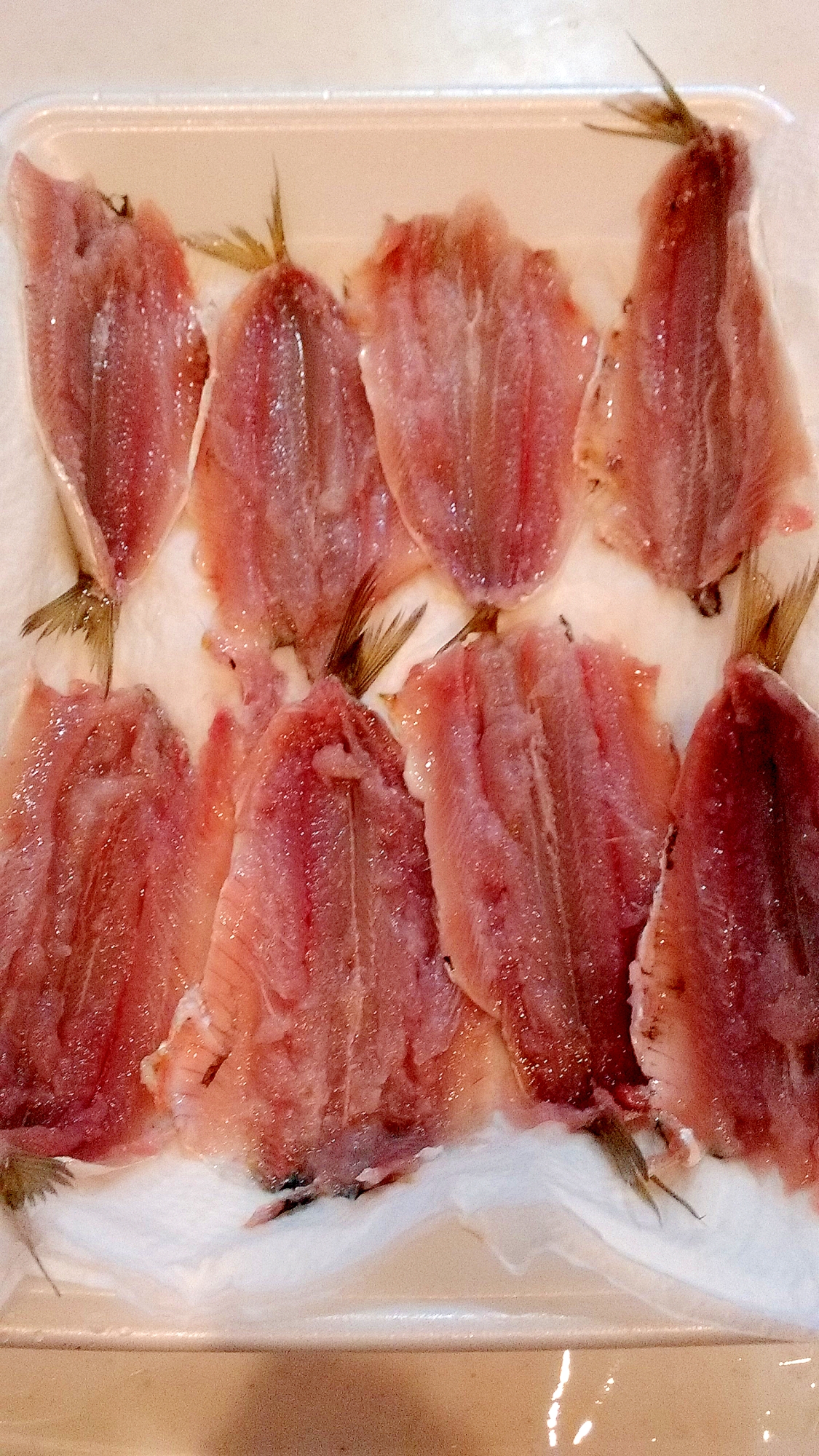 包丁使わないでイワシの手開き レシピ 作り方 By ゴンタkun 楽天レシピ 包丁使わないでイワシの手開き レシピ 作り方 By ゴンタkun 楽天レシピ