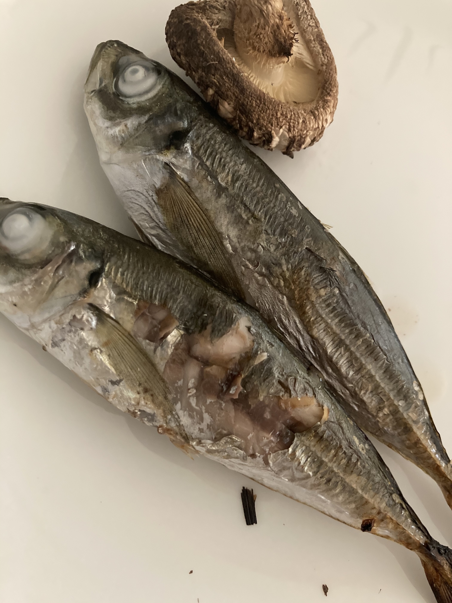 小アジとしいたけのフライパンで塩焼き レシピ 作り方 By へんてこへんてこママ 楽天レシピ 小アジとしいたけのフライパンで塩焼き レシピ 作り方 By へんてこへんてこママ 楽天レシピ