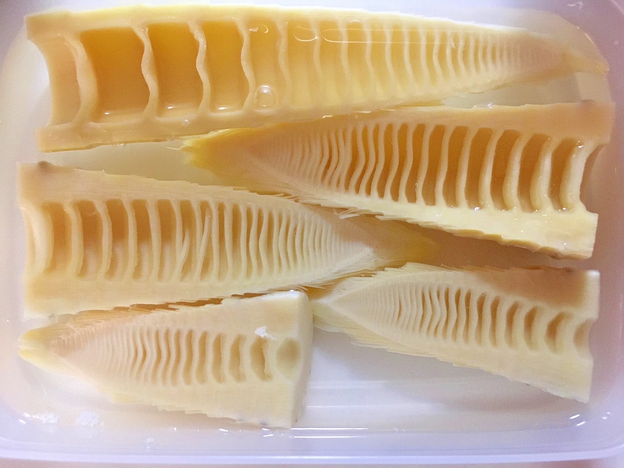 破竹の水煮 レシピ 作り方 By わんなん 楽天レシピ 破竹の水煮 レシピ 作り方 By わんなん 楽天レシピ