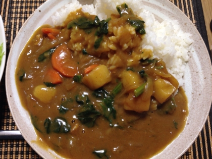 ほうれん草カレー