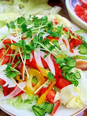 カナリアサラダ レシピ 作り方 By Iihi009 楽天レシピ カナリアサラダ レシピ 作り方 By Iihi009 楽天レシピ