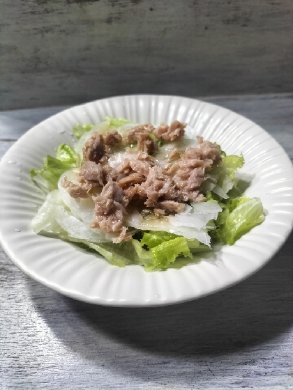 レタスと新玉ねぎ☘️ツナサラダ