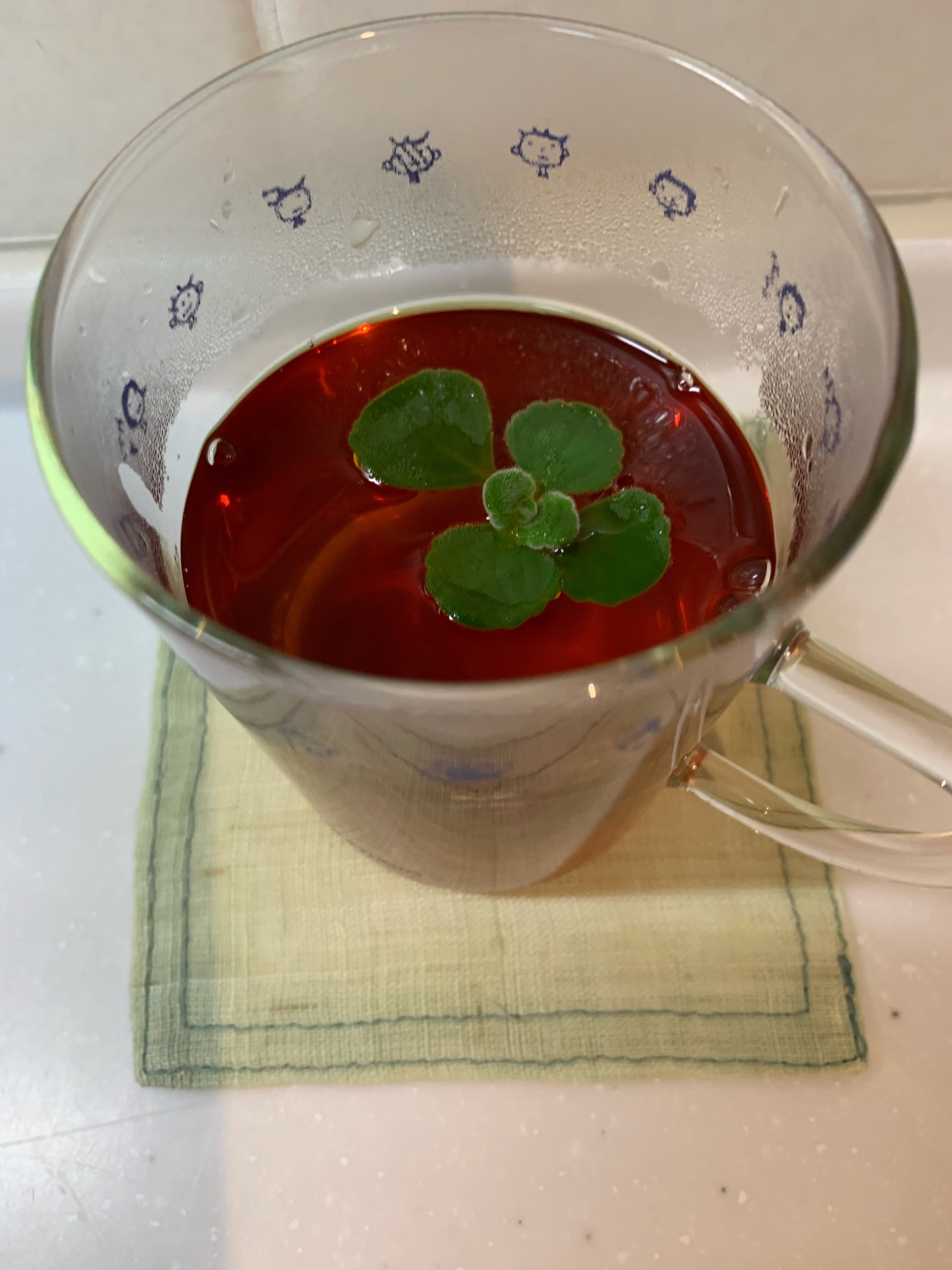 レモンバームとアロマティカスの紅茶 レシピ 作り方 By Bebe2936 楽天レシピ レモンバームとアロマティカスの紅茶 レシピ 作り方 By Bebe2936 楽天レシピ