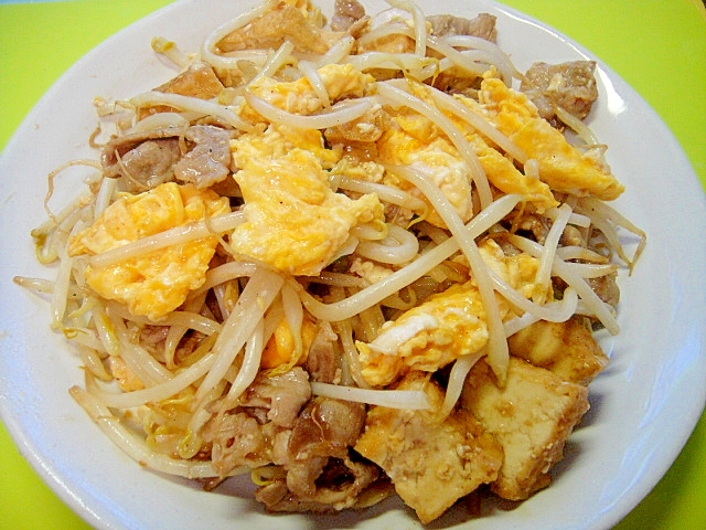 もやしと厚揚げ豚肉の卵炒め レシピ 作り方 By Mint74 楽天レシピ